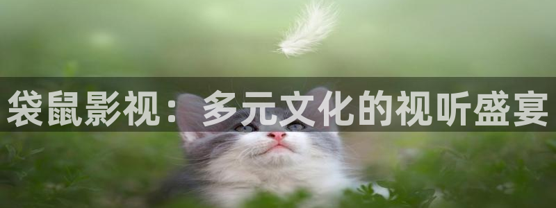 草民影院午夜理论：袋鼠影视：多元文化的视听盛宴