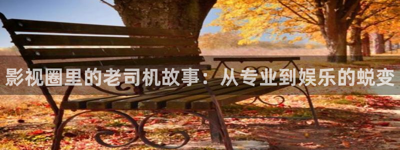 妈妈的朋友在线观看免费草民影院：影视圈里的老司机故事：从专业到娱乐的蜕变