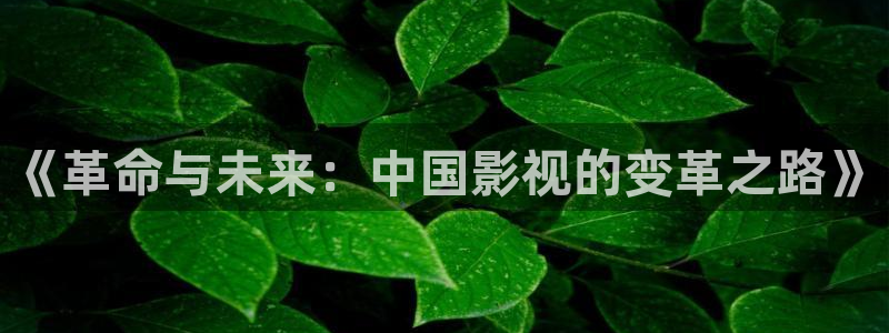 草民电影院我不卡：《革命与未来：中国影视的变革之路》