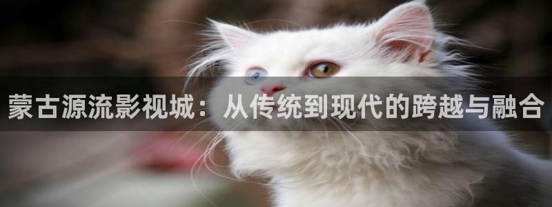 草民电影影院