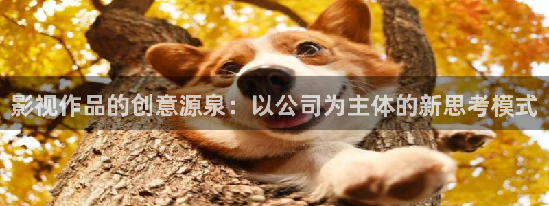 电视剧草民影院